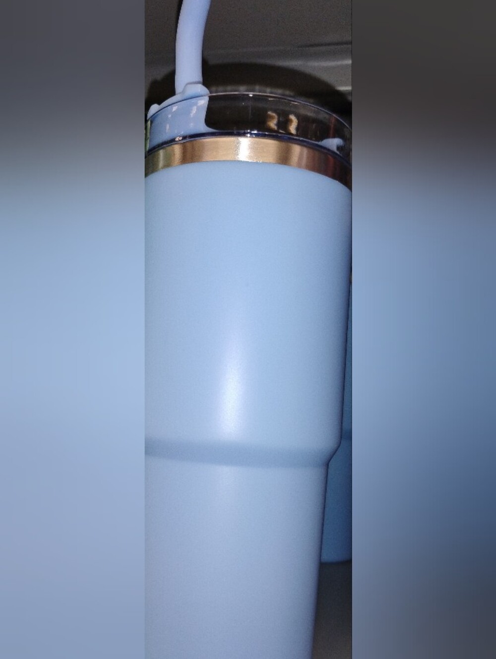 Light Blue Stainless Steel Insulated Tumble with Straw and Lid